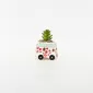 Flower Car Succulent Ornament