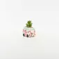 Flower Car Succulent Ornament