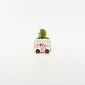 Flower Car Succulent Ornament