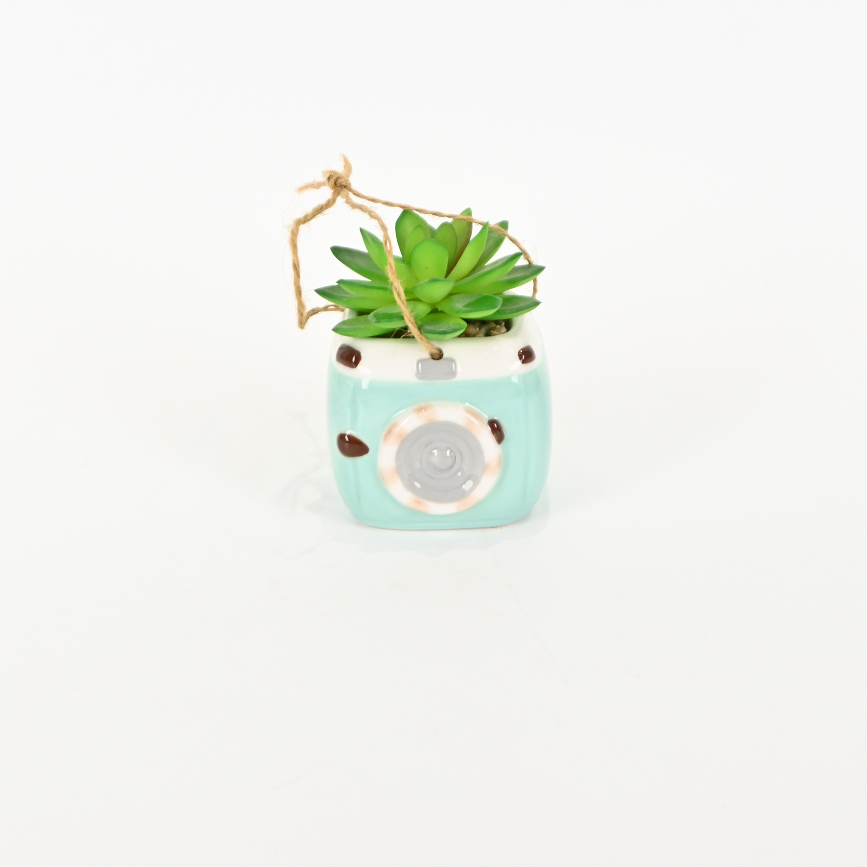 Camera Succulent Ornament