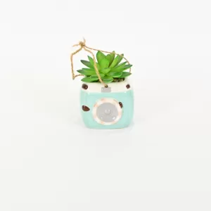 Camera Succulent Ornament