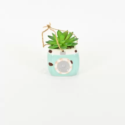 Camera Succulent Ornament