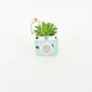 Camera Succulent Ornament
