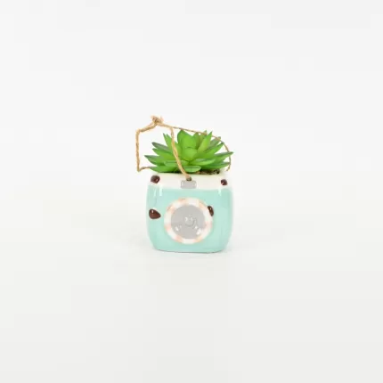 Camera Succulent Ornament