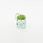 Camera Succulent Ornament