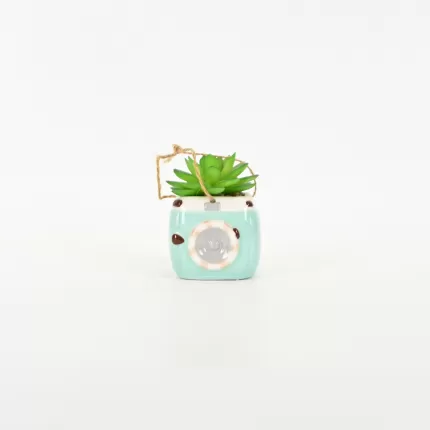 Camera Succulent Ornament