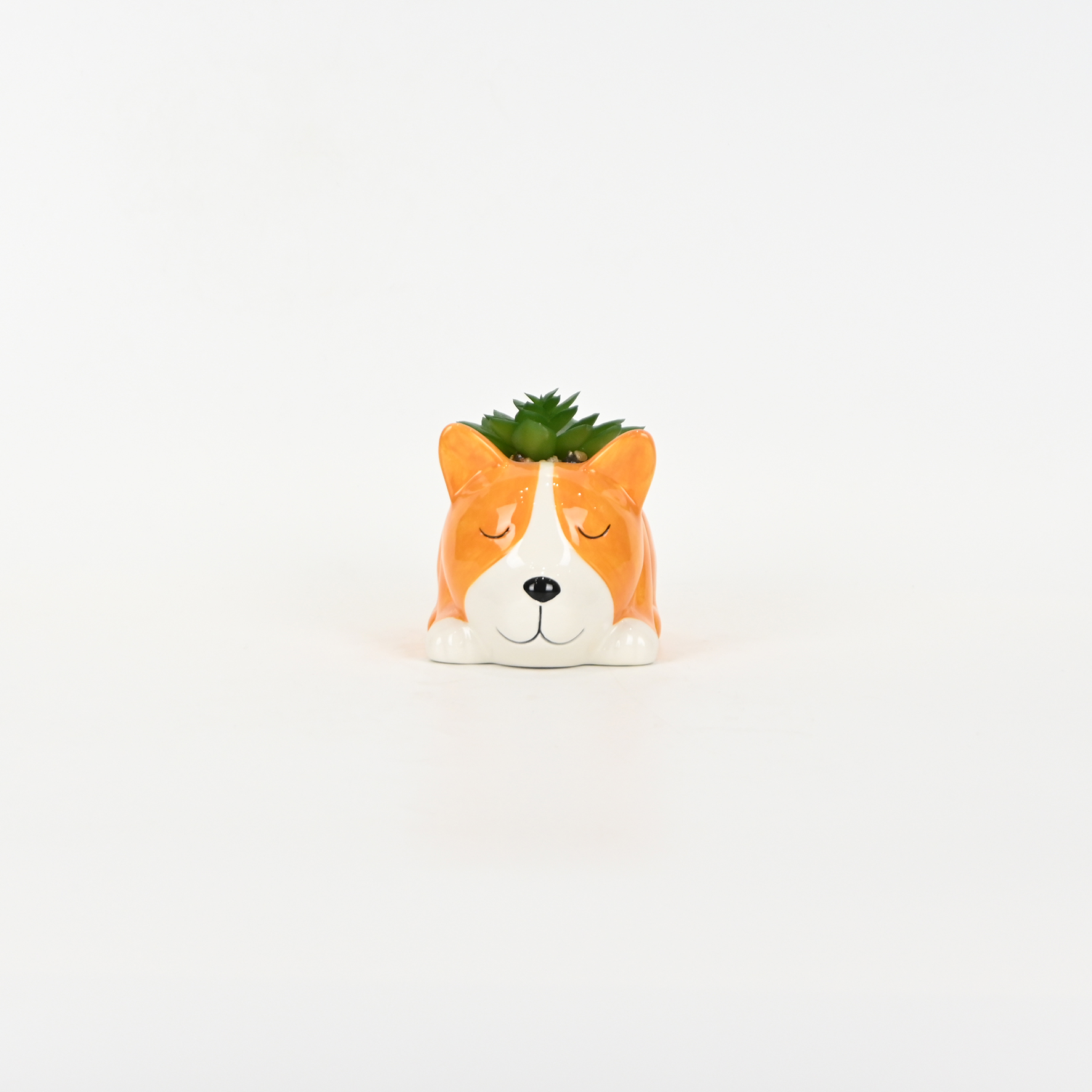 Little Dog Succulent Ornament