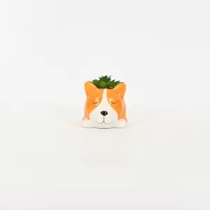Little Dog Succulent Ornament