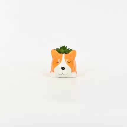 Little Dog Succulent Ornament