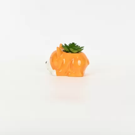 Little Dog Succulent Ornament