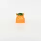 Little Dog Succulent Ornament