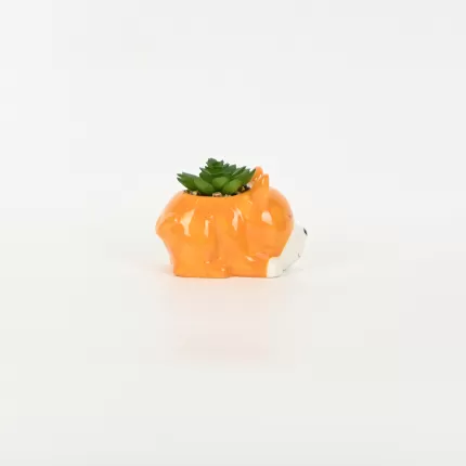 Little Dog Succulent Ornament
