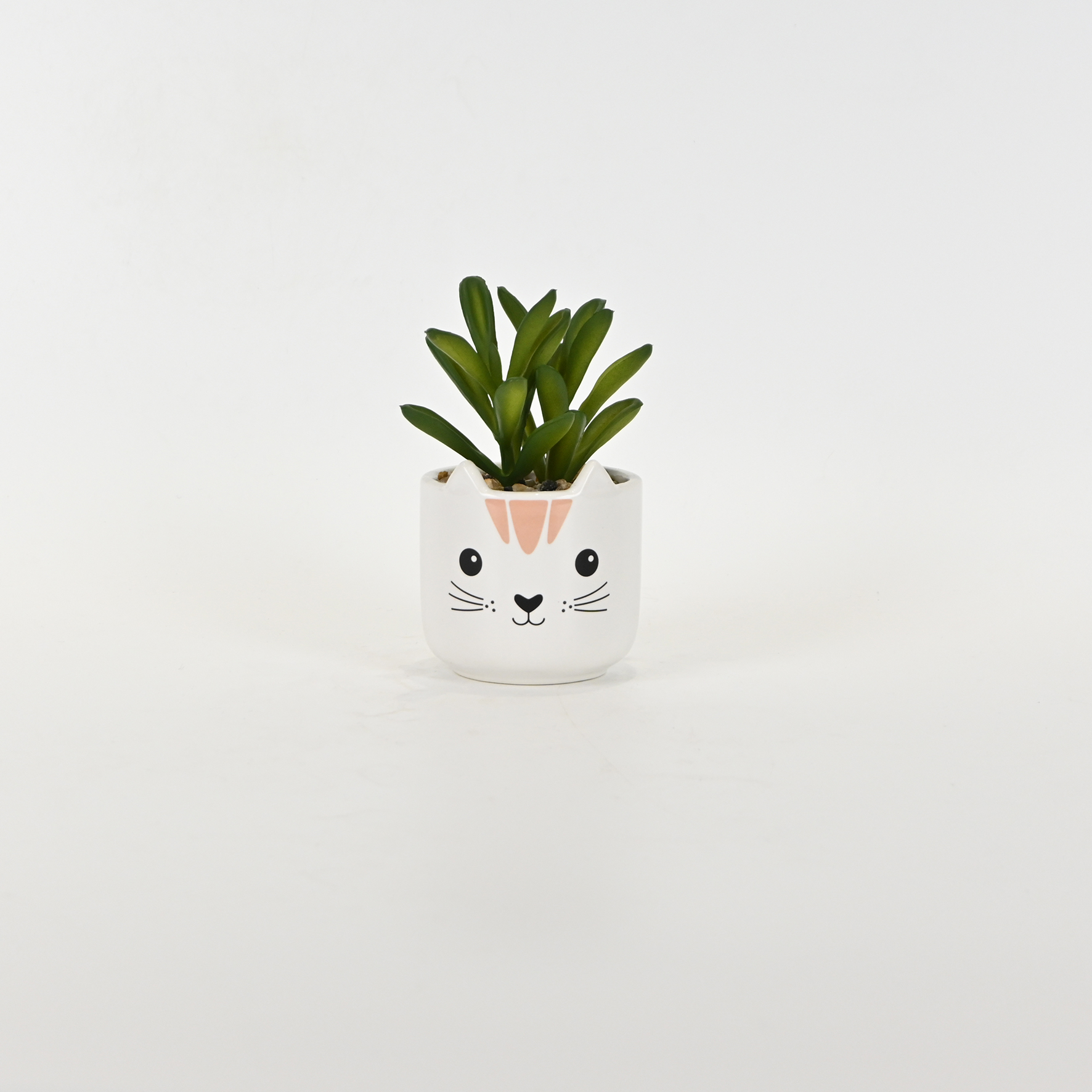 Little Cat Succulent Ornament