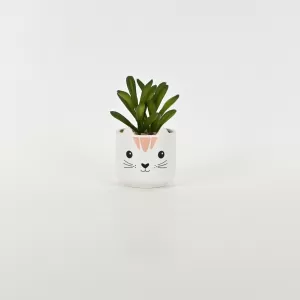 Little Cat Succulent Ornament