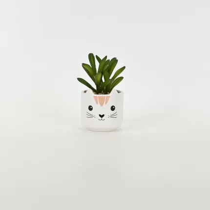 Little Cat Succulent Ornament