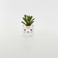 Little Cat Succulent Ornament