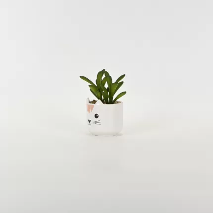 Little Cat Succulent Ornament