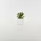 Little Cat Succulent Ornament