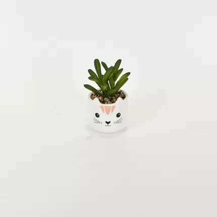 Little Cat Succulent Ornament