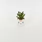 Little Cat Succulent Ornament