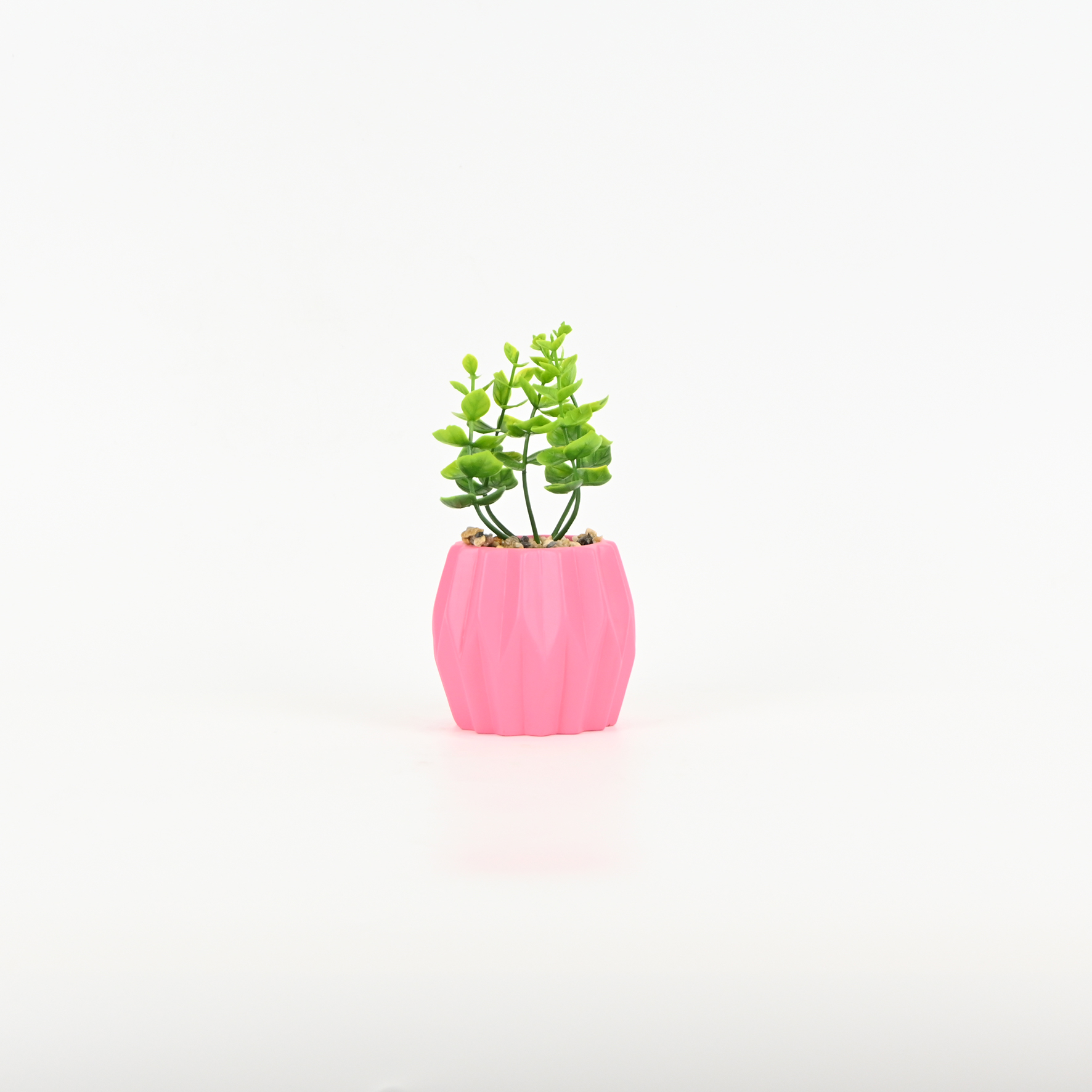 Geometric Embossed Plant Ornament