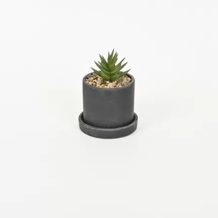 Artificial Succulent Pot with Tray-black