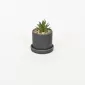Artificial Succulent Pot with Tray-black