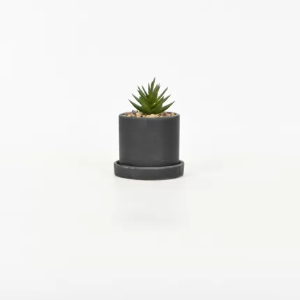 Artificial Succulent Pot with Tray-black