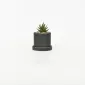 Artificial Succulent Pot with Tray-black