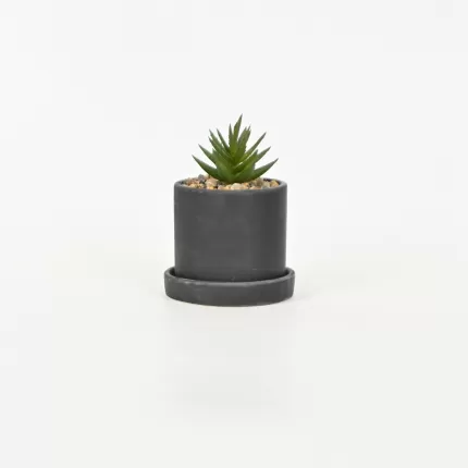 Artificial Succulent Pot with Tray-black