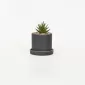 Artificial Succulent Pot with Tray-black