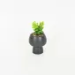 Tall Mushroom Plant Pot-black