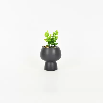 Tall Mushroom Plant Pot-black