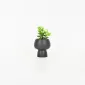Tall Mushroom Plant Pot-black