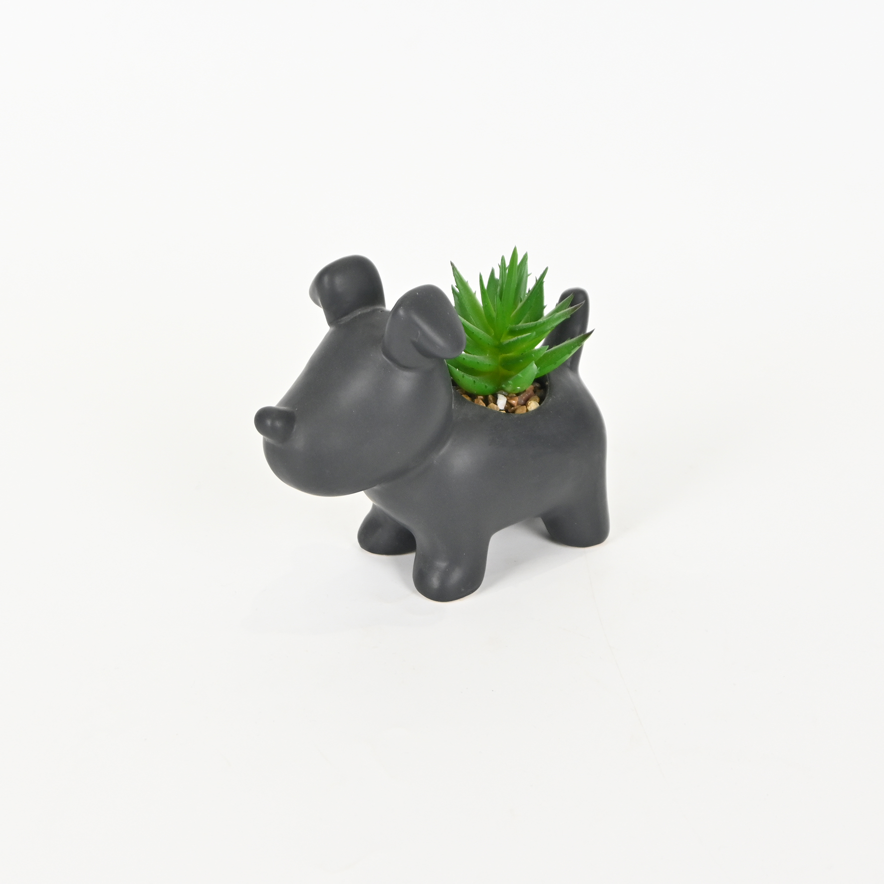 Little Dog Succulent Ornament-black
