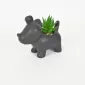 Little Dog Succulent Ornament-black