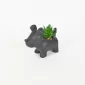 Little Dog Succulent Ornament-black