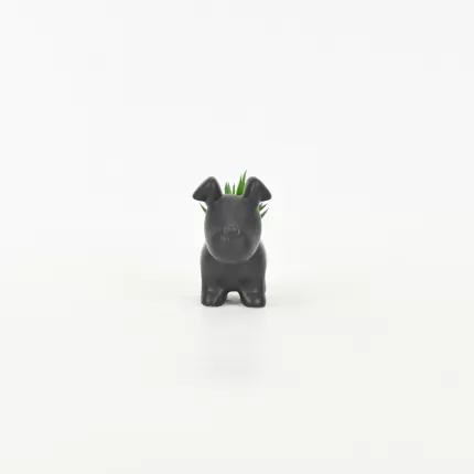 Little Dog Succulent Ornament-black