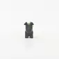 Little Dog Succulent Ornament-black