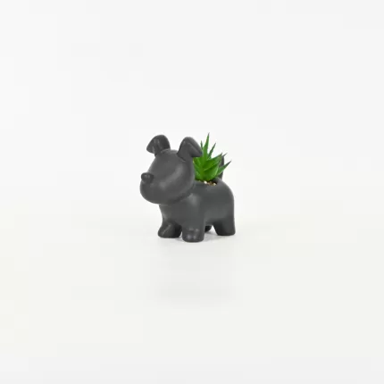 Little Dog Succulent Ornament-black