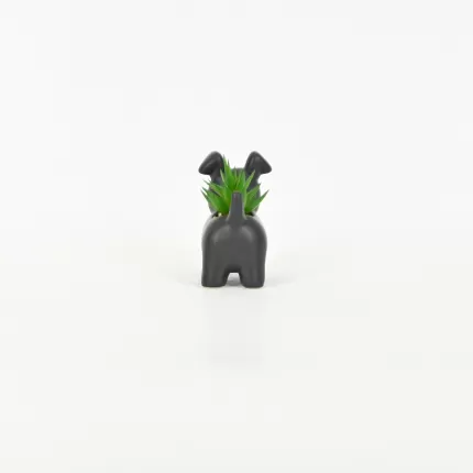 Little Dog Succulent Ornament-black