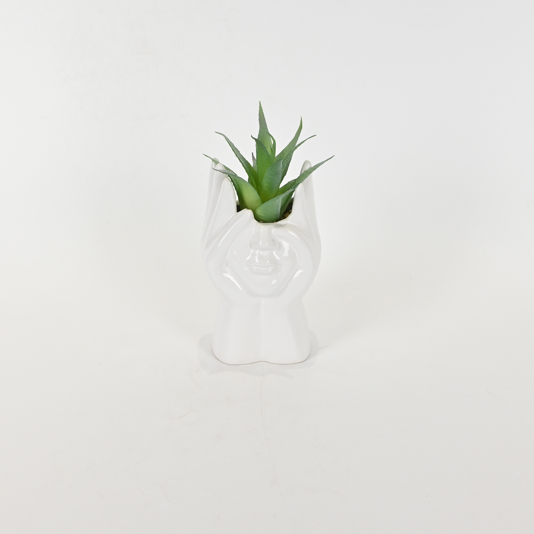 Abstract Figures  Succulent Ornament-white