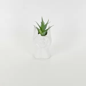 Abstract Figures  Succulent Ornament-white