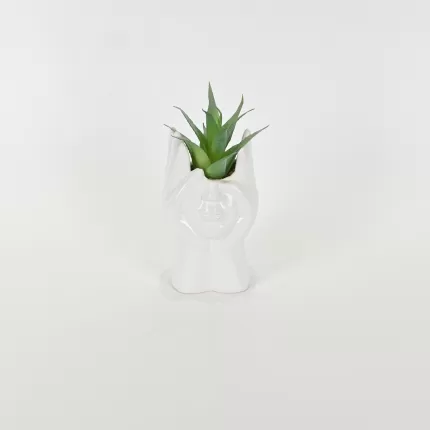Abstract Figures  Succulent Ornament-white