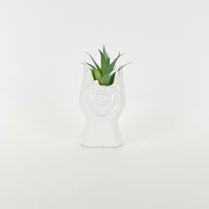 Abstract Figures  Succulent Ornament-white