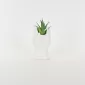 Abstract Figures  Succulent Ornament-white