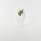 Abstract Figures  Succulent Ornament-white
