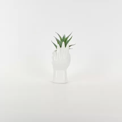 Abstract Figures  Succulent Ornament-white