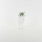 Abstract Figures  Succulent Ornament-white