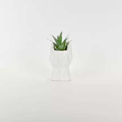 Abstract Figures  Succulent Ornament-white